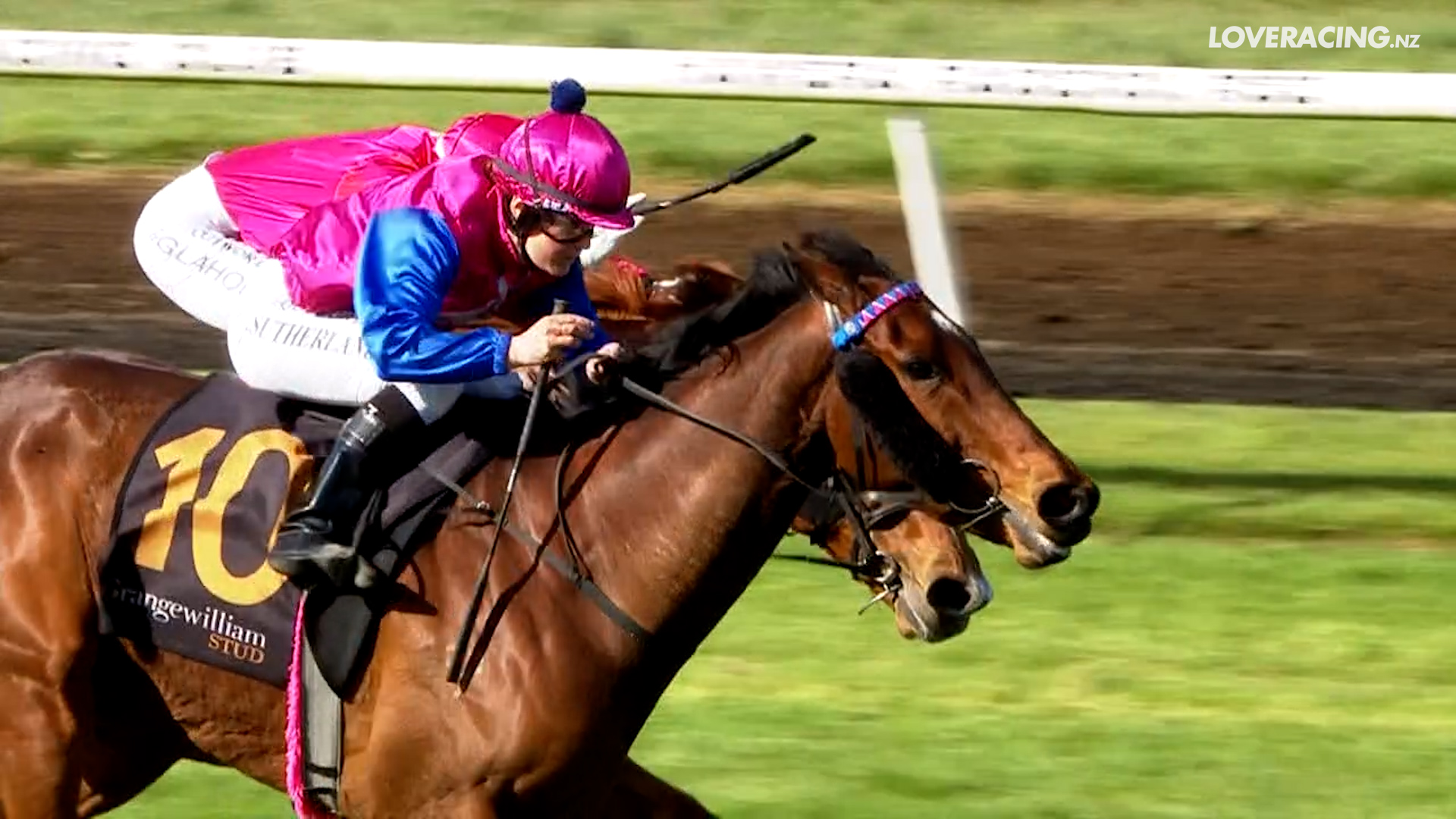 Nz Farmers Livestock Ltd Egmont Cup Kingfisher Lad